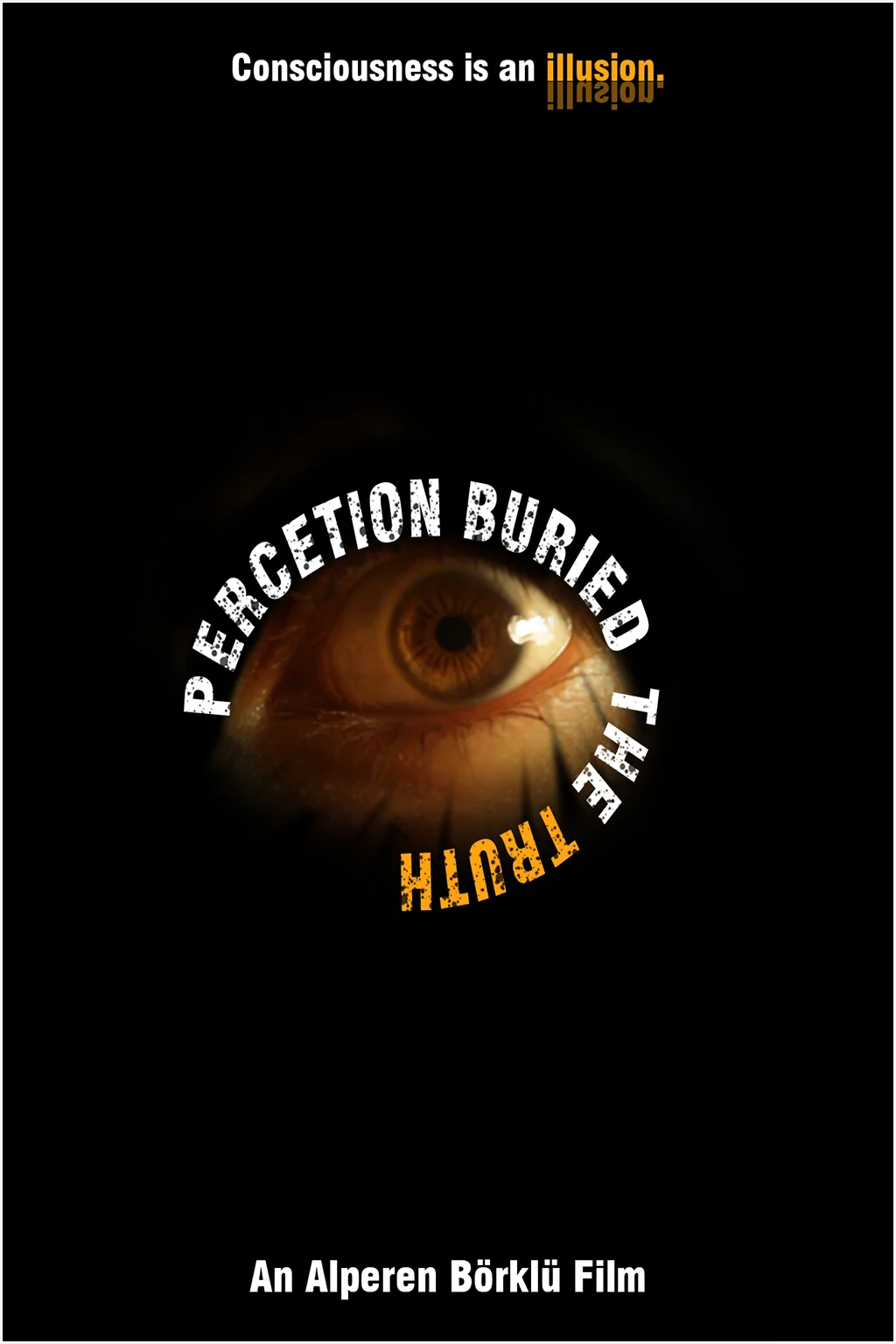 Perception Buried Truth Film Poster
